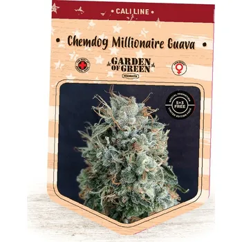 Semeno Garden Of Green Seedbank - Chemdog Millionaire Guava 1 ks