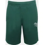 Slazenger Green 1160491 M