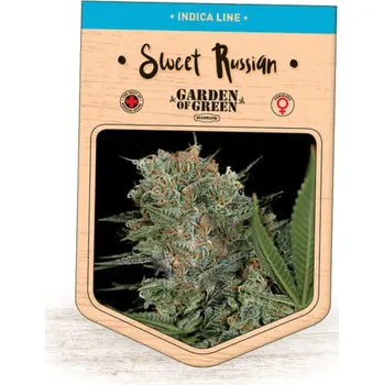 Semeno Garden Of Green Seedbank - Sweet Russian 1 ks