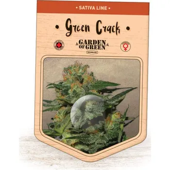 Semeno Garden Of Green Seedbank - Green Crack 1 ks