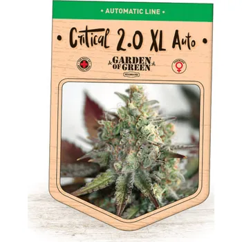 Semeno Garden Of Green Seedbank - Critical 2.0 XL Auto 3 ks
