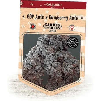 Semeno Garden Of Green Seedbank - GDP Auto x Gumberry Auto 1 ks