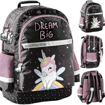 Školní batoh Školní batoh vícekomorový Paso bílý, černý, růžový, vícebarevný 22 l