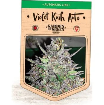 Semeno Garden Of Green Seedbank - Violet Kush Auto 1 ks