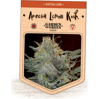 Semeno Garden Of Green Seedbank - Amnesia Lemon Kush 1 ks