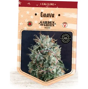 Semeno Garden Of Green Seedbank - Guava 1 ks