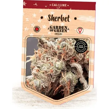 Semeno Garden Of Green Seedbank - Sherbet 1 ks