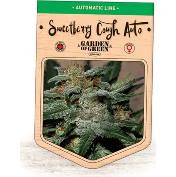 Semeno Garden Of Green Seedbank - Sweetberry Cough Auto 3 ks
