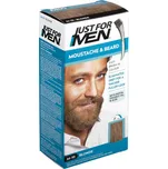 Just For Men Barva na vousy 28 g