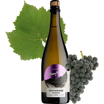 Víno Vinařství Starý vrch Pinot Noir 2022 Rose