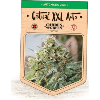 Semeno Garden Of Green Seedbank - Critical XXL Auto 1 ks