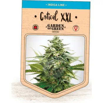 Semeno Garden Of Green Seedbank - Critical XXL 1 ks