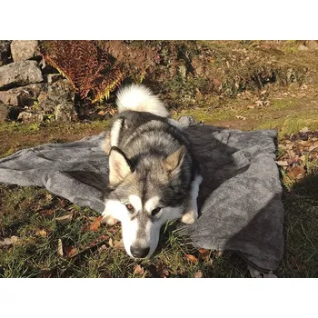 Pelíšek pro psa Henry Wag fleecová cestovní deka