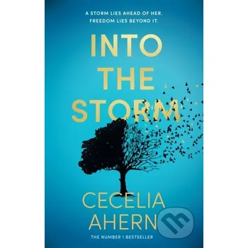 Beletrie pro dospělé Into the Storm - Cecelia Ahern HarperCollins