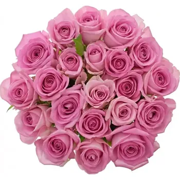 umělá květina Kytice 21 růžových růží AQUA 50cm