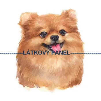 Látkový panel - Pes - PS-79 Velikost: 45x45cm, Materiál: Teplákovina nepočesaná