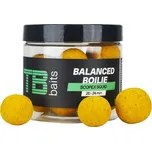 TB Baits Vyvážené Boilie Balanced + Atraktor Scopex Squid 100 g 20-24 mm