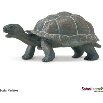 Figurka Safari Ltd. Mládě želvy galapážské
