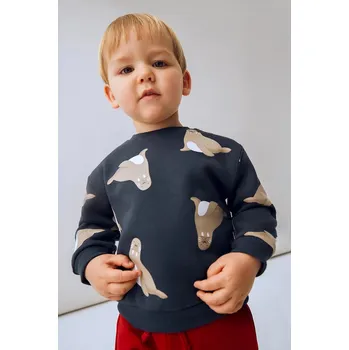 Chlapecká mikina Dětská mikina Mayoral modrá barva, vzorovaná, 2417 2417.3E.Baby.9BYA 57X, vel. 86