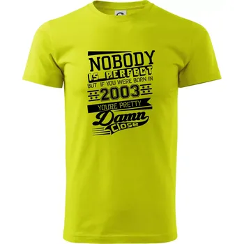 Nobody is perfect - 2003 - Klasické pánské triko vyšší gramáže - M ( Limetková )