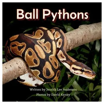 Příroda Ball Pythons - Anderson, Jessica [EN] (2025, Brožovaná / brožovaná, AO Press)