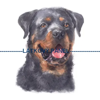 Látkový panel - Pes - PS-96 Velikost: 30x30cm, Materiál: Kočárkovina