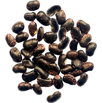 Luštěnina Tmavě zbarvené fazole 500 g - TOLA