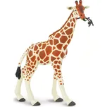 Safari Ltd. Žirafa síťovaná