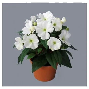 umělá květina Fialka v květináči, bílá 100-0148/CR