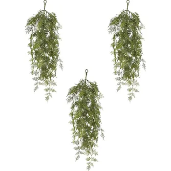 kaiserkraft Převislý Asparagus setaceus