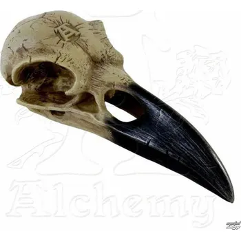 Figurka dekorace ALCHEMY GOTHIC - Corvus Alchemica - V16