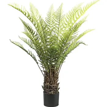 Květináč Stromová kapradina Dicksonia, plastový květináč, výška 1150 mm, černá