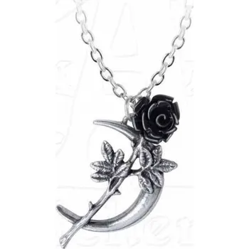 Přívěsek obojek ALCHEMY GOTHIC - New Romance