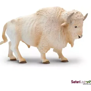 Bílý buvol domácí