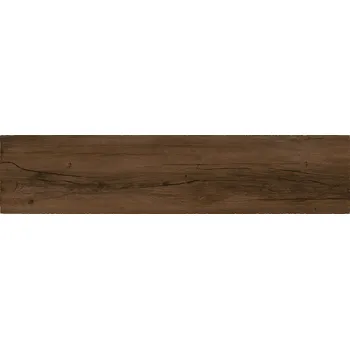 Dlažba DLAŽBA EPICENTR CANYON BROWN MAT 30X120