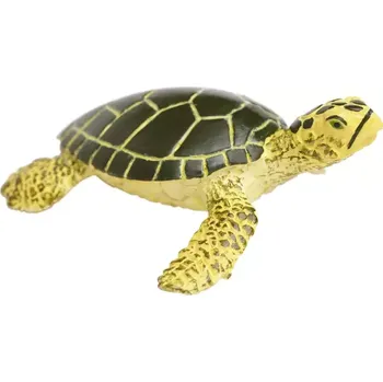 Mládě mořské želvy