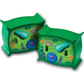 Hodiny Řez rostlinnou buňkou