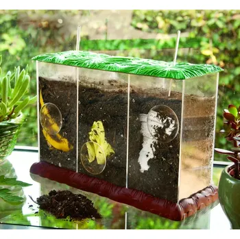 Kompostér Pozorovací kompostér