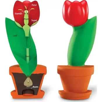 Hodiny Řez květinou