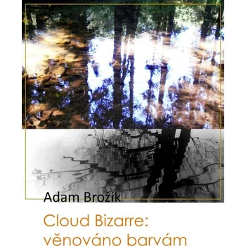 Kniha Cloud Bizarre: věnováno barvám