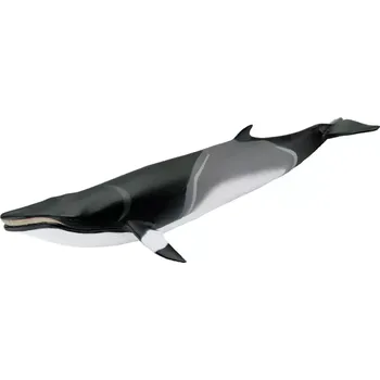 Figurka Safari Ltd. Figurka - Plejtvák Minke