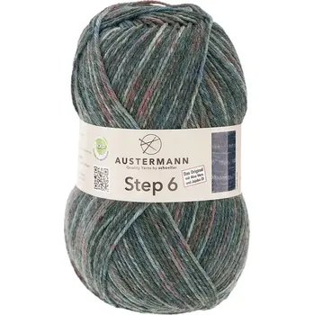 Příze Austermann Step 6 Color 634 Sturm (Ponožková příze Step 6 - 634 Sturm)