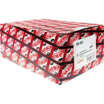 Brzdový kotouč BRZDOVÝ KOTOUČ NISSAN CABSTAR + ABS