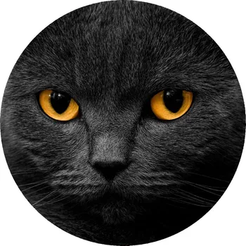 Jedlá dekorace na dort KOČKY-11 Materiál: Jedlý papír