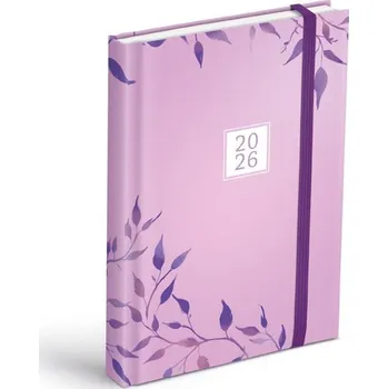 Kalendář Diář 2026 D801 Lamino 3 s magnetem