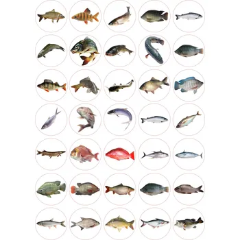 Jedlá dekorace na dort RYBAŘENÍ-28 Materiál: Jedlý papír