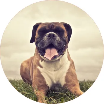 Jedlá dekorace na dort PSI-24 Materiál: Jedlý papír