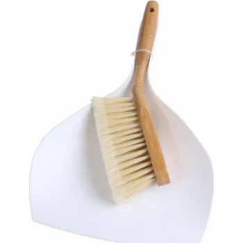 Smeták s lopatkou Thema Lux TP10