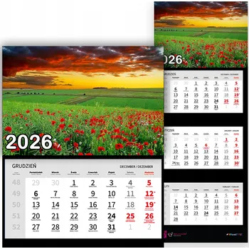 Kalendář Nástěnný Kalendář Trojdílný 2026 RANNÍ SVĚŽEST Do Kanceláře Dárek Vzory