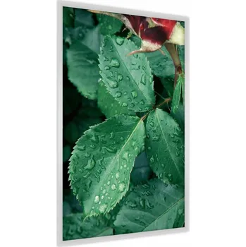Obraz Plakát v rámu LISTY Kapky vody Příroda 3D 30x40